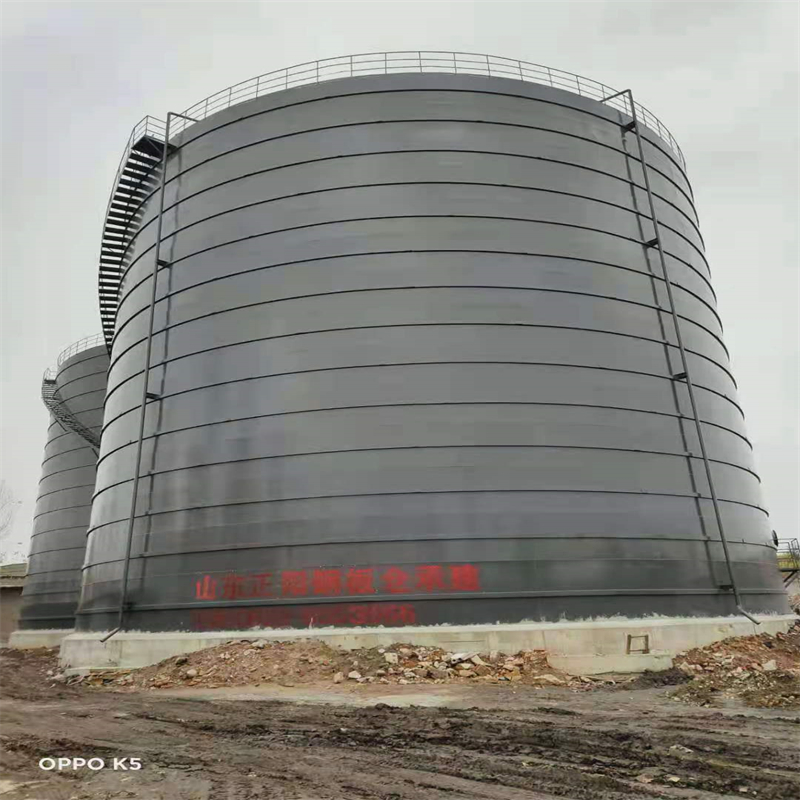 洋县3万吨大型钢板库